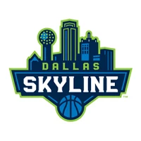 Dallas Skyline