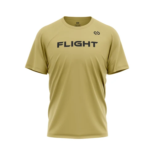 Dayton Flight Game Day Shirt