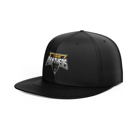 Beaumont Panthers Official Team Logo Hat · Flat