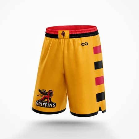 St. Louis Griffins Official Alternate Jersey